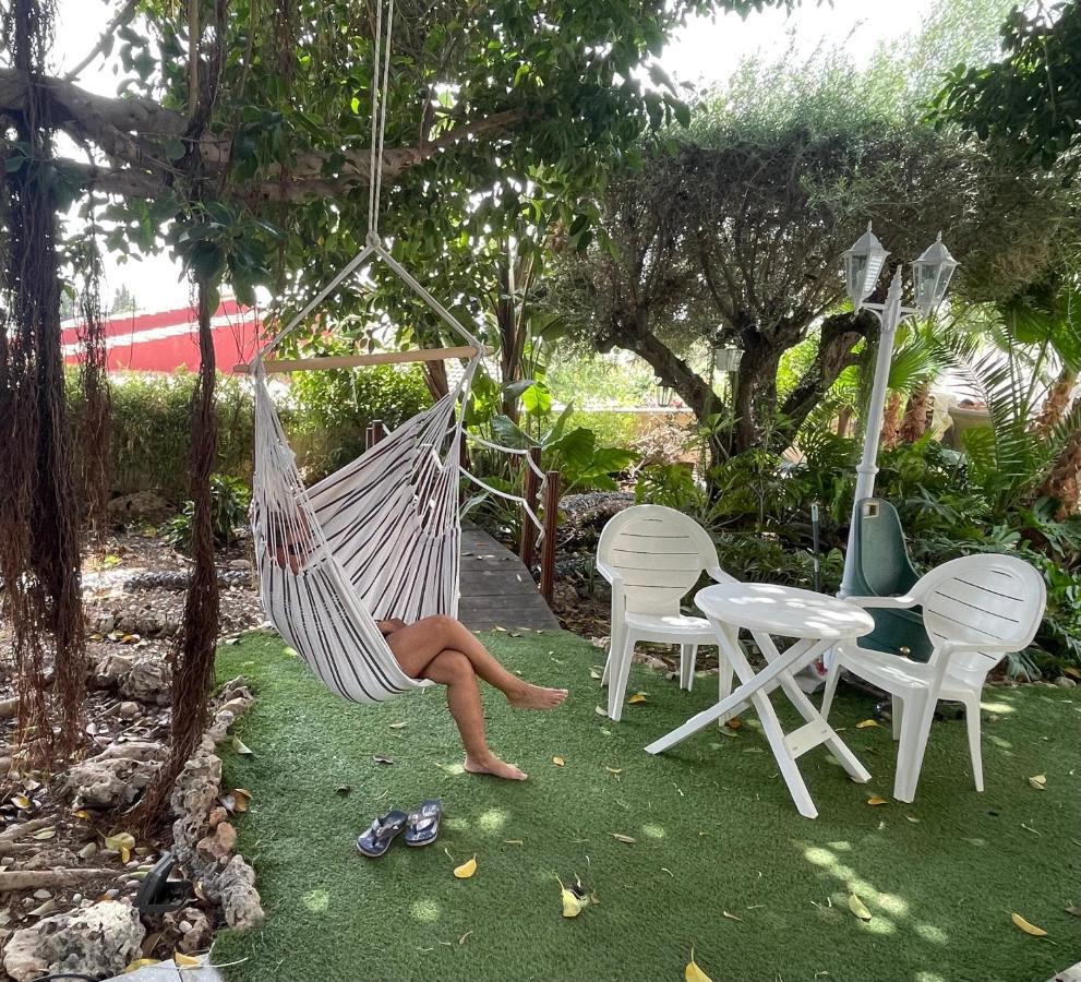 Habitación cama de matrimonio con baño privado San Vicente Raspeig Exterior foto